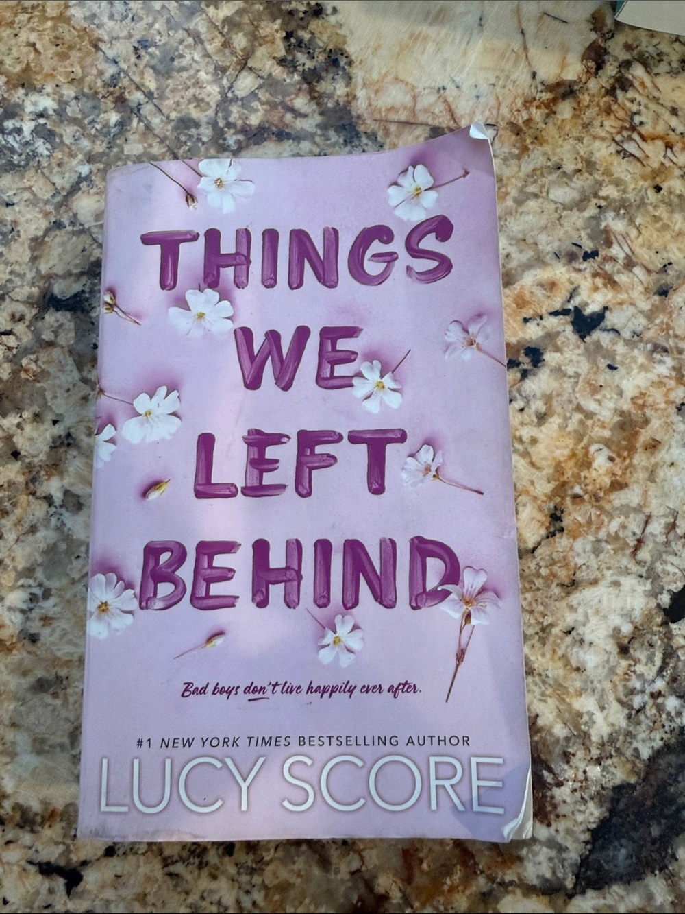 Things We Left Behind by Lucy Score Book